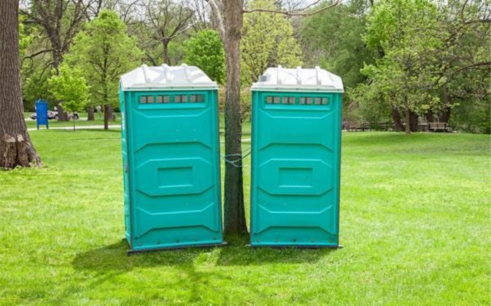 Row of portable restrooms set up for a corporate event
